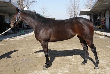 ��߹�� ����