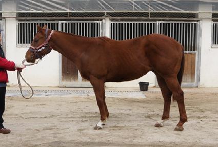 ������� ����