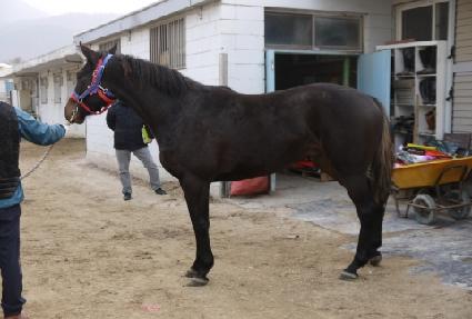 �ְ����̾� ����