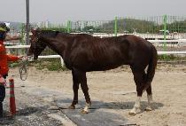 ĸƾ�Ŀ� (CAPTAIN POWER) ����