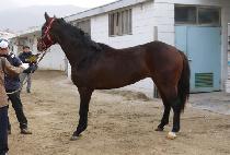 Ÿ��Ʋ���� (TITLE A) ����