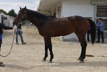 Ŭ������ũ�� (CLEAN UP SECRET) ����