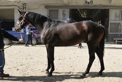 Ƽ�ư���ġ ����