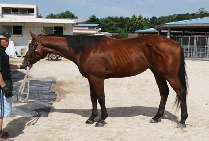 �������� ����