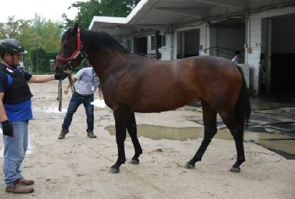 ��ε���� ����