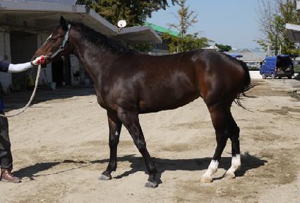 ���̺����̵� ����