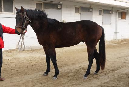 �̽�ũ�� ����