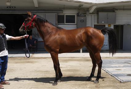 �Ӵϴ�� ����