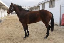 ī�Ϸ뿩�� (KAILLUM YEOJE) ����