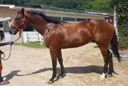 û������̵� ����