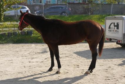 Ÿ�췯�� ����