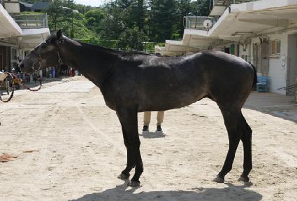 ���ǵ���ũ ����