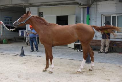 ���ڰ� ����