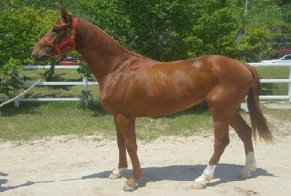 ���̽����� ����