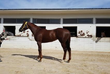 �׷���ȯȣ ����