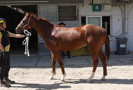 ������ ����