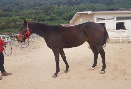 ��Ű�ڸ��� ����