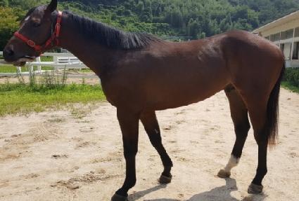 �µ��� ����