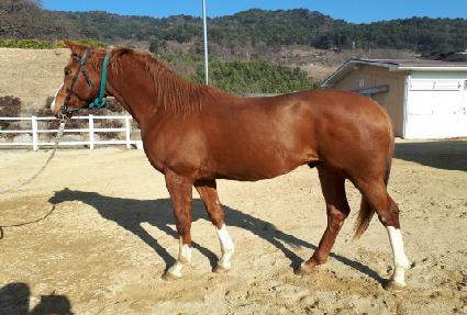 ������ ����