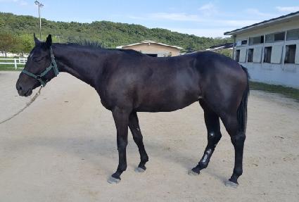 �����̸� ����