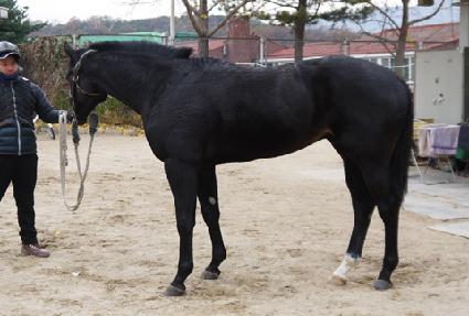 ��õ��� ����