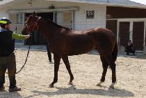 SEOULUI BYEOL picture