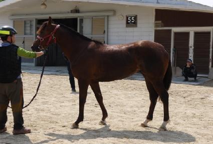 �����Ǻ� ����