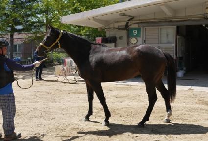 ������̾� ����