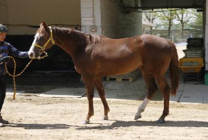 ������ ����