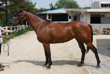 �ǽ�ǮŸ�� ����