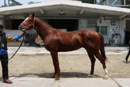 ���� ����