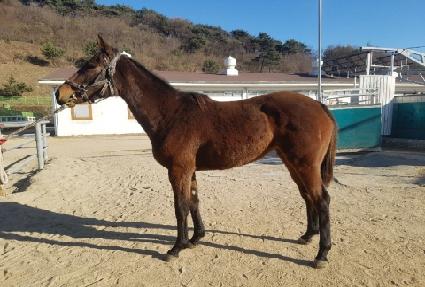 Ž���ϴ� ����