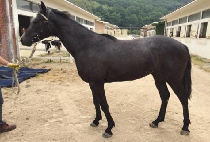 �����̿�� ����