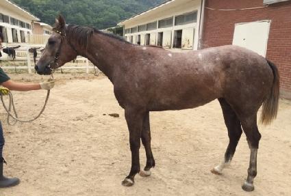 ������ ����