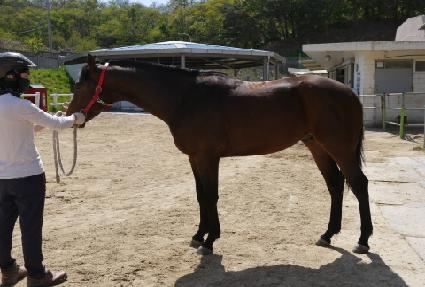 ����ĭ ����