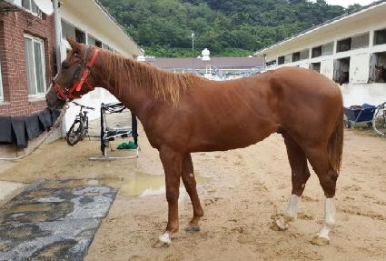 ��׾��� ����