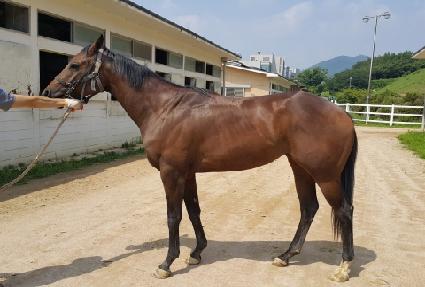 �����̽� ����