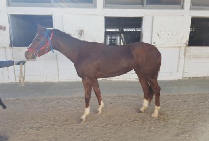 ���ŧ���� ����