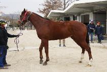 ���Ǹ���ƾ (HAPPY MAUNTAIN) ����