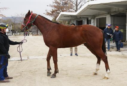 ���Ǹ���ƾ ����