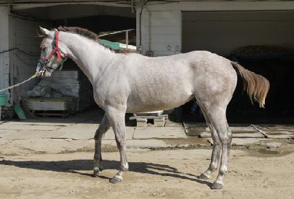 �ǹ�����ƾ ����