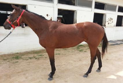 ���̽����� ����