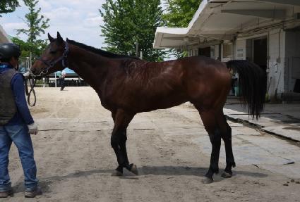 ��ī�극�̽� ����