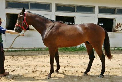 ����Ʈ��ũ ����