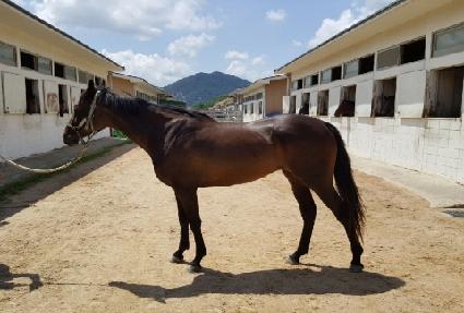 ���ϱ;� ����