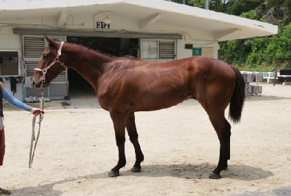 ���� ����