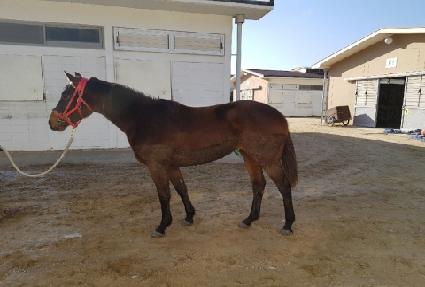 ������ǳ ����