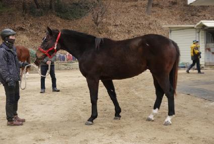 ����Ʈ�� ����