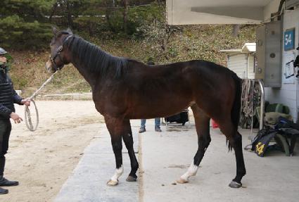 �ϴÿ��̽� ����