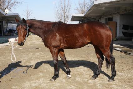 ����Ʈ ����